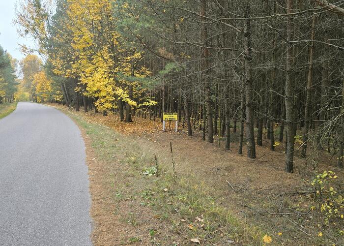 Grajewo ogłoszenia: Sprzedam las 3,95 ha, w tym jest 0,5 ha łąki. Na działce...